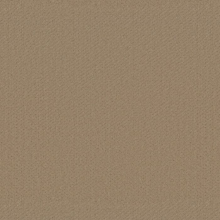 Shaw SQUARE ONE Natural Wood Carpet - SH-EA500-00701