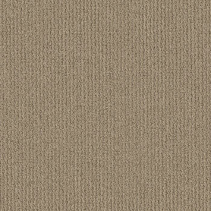 Shaw KICK OFF Mushroom Carpet - SH-EA501-00703