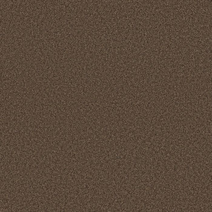 Shaw Find your comfort I - Tonal Chocolate Treat Carpet - SH-EA817-707T