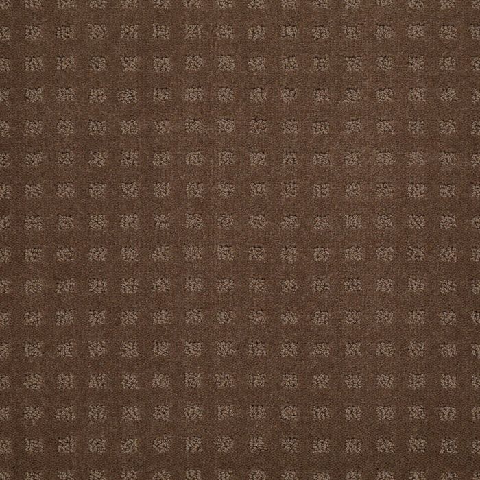Shaw STYLE WITH EASE Driftwood Carpet - SH-FS150-00704