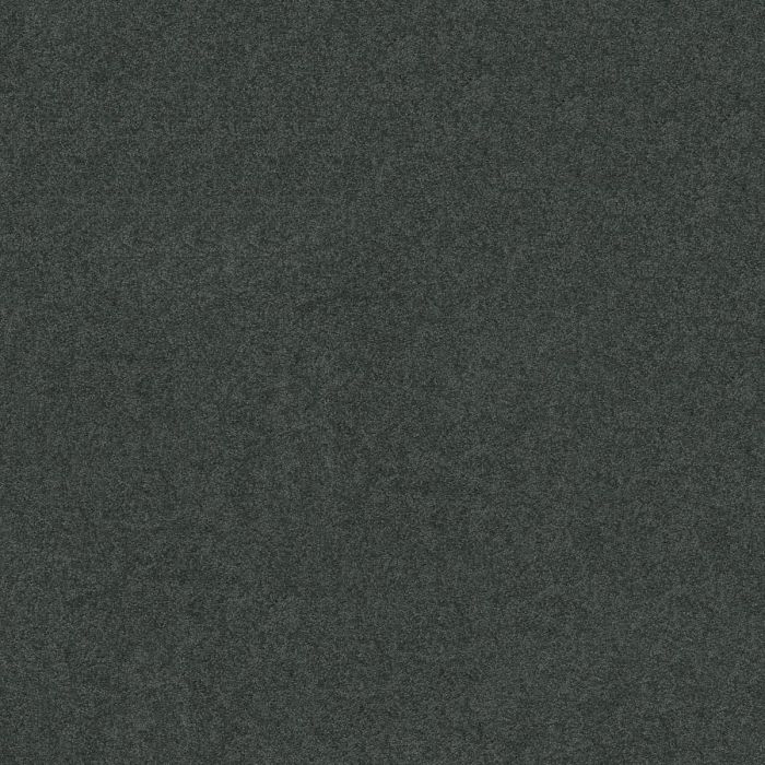 Shaw TIP OF THE HAT Cape Verde Carpet - SH-FS219-00413