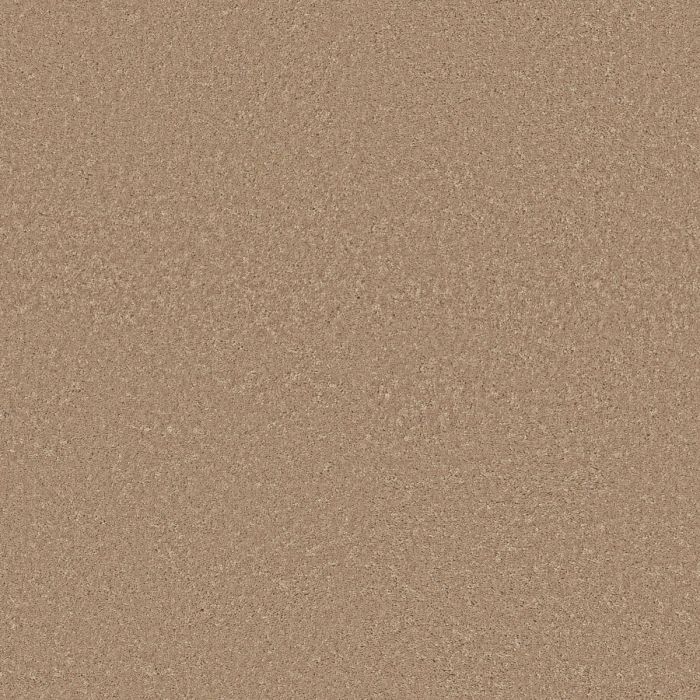 Shaw STEP RIGHT UP II 15' Natural Beige Carpet - SH-FS233-00700