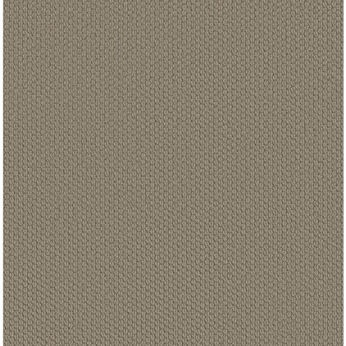 Shaw CATHEDRAL HILL II Taupe Tone Carpet - SH-ZZ040-00574
