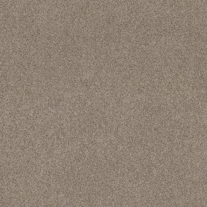 Shaw OCEAN VIEW Caribou Carpet - SH-ZZ043-00756