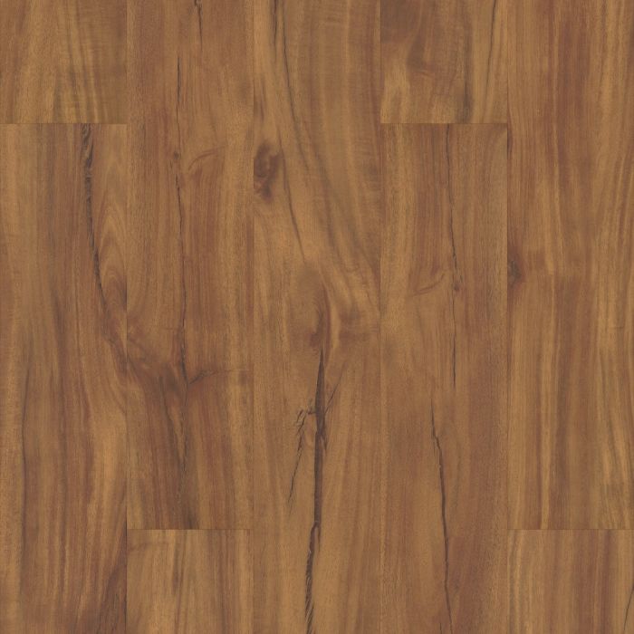CORETEC GOLD COAST ACACIA VV023-00201 ORIGINALS CLASSICS