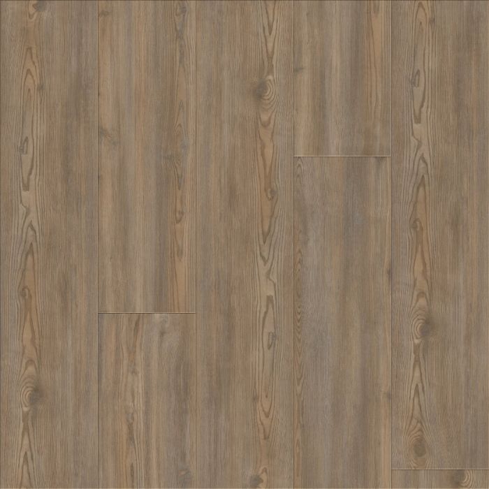 CORETEC PLUS PREMIUM,  TREASURE PINE, VV457-02906