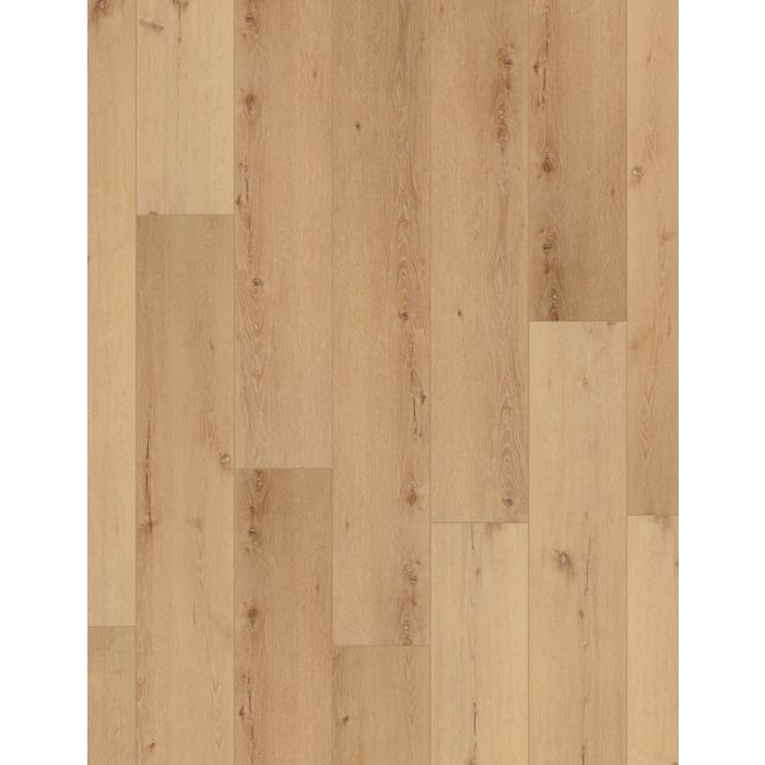 CAIRO OAK, 02956, CORETEC PRO PLUS XL ENHANCED, VV491