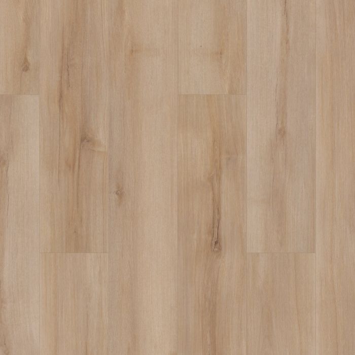 LUCENT OAK, 02028, CORETEC PRO PLUS ENHANCED, VV492