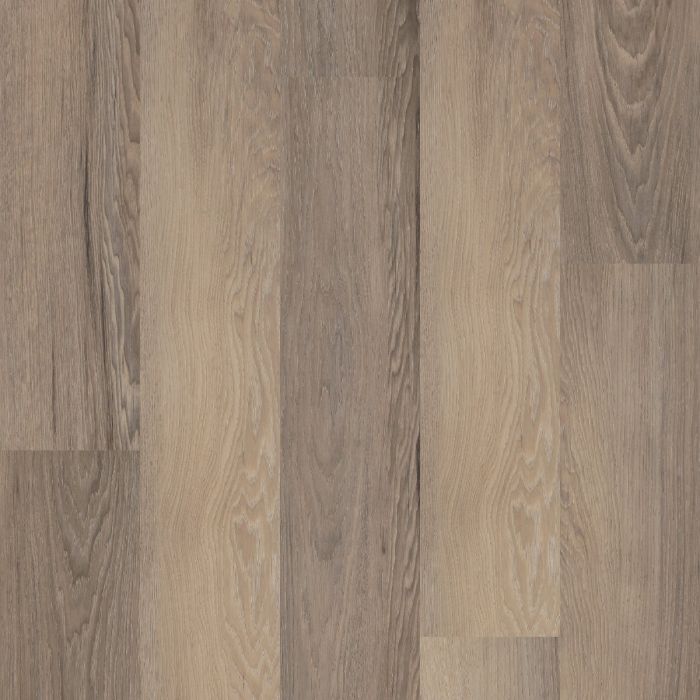 SALTON CHESTNUT, 50001, CORETEC ONE PLUS, VV585