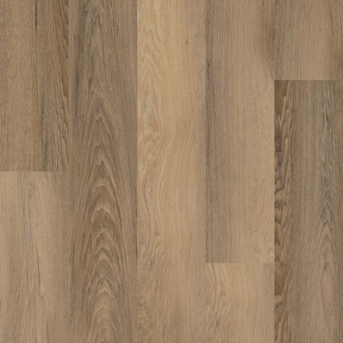 BRAWLEY CHESTNUT, 50003, CORETEC ONE PLUS, VV585