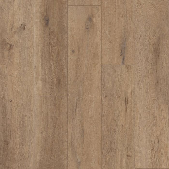 CORETEC GOLDIN OAK VV662-04011