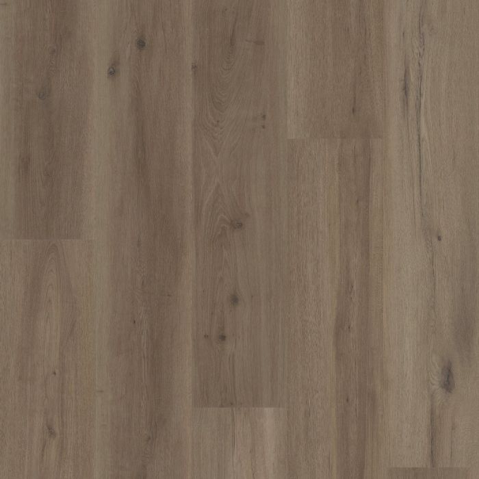 CORETEC MIST OAK VV810-04028