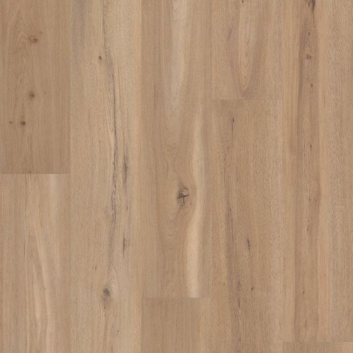 CORETEC BLONDE OAK VV810-05026