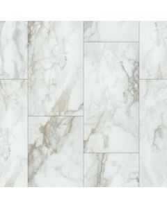 -01100 Shaw Floorte
