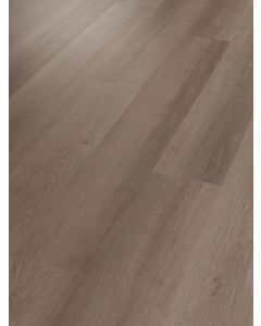 3101v-07100 Shaw Floorte