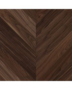 502, BELLA, EUROPEAN OAK, VANDYCK