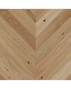 504, BELLA, EUROPEAN OAK, VANDYCK