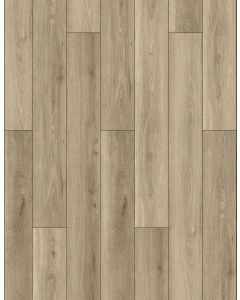 DOLCE, BB-I, THE BAMBINO COLLECTION, LIONS FLOOR
