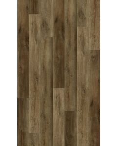 Ganache — BB-III — The Bambino Collection — Lions Floor