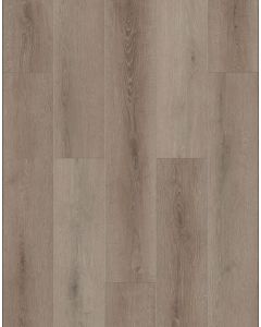 Coffee Feather — BB-VI — The Bambino Collection — Lions Floor