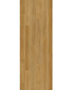 Biscotti Oak — BB-XV — The Bambino Collection — Lions Floor