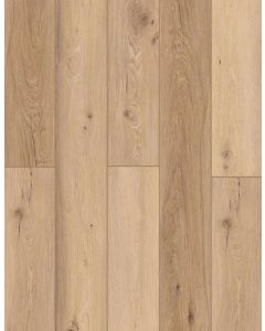 Vienna Toast — BB-XVII — The Bambino Collection — Lions Floor