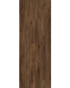 Truffle Grove — BB-XVIII — The Bambino Collection — Lions Floor