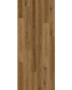Quantum Trace — LI-FL09 — The Formalay Collection — Lions Floor