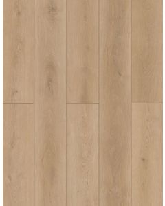 Forest Timber — LI-ID07 — The Indoor Delight Collection — Lions Floor
