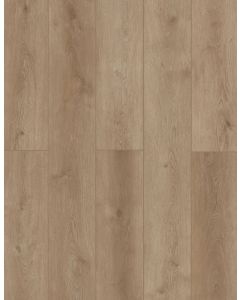 Peacock Flush — LI-ID08 — The Indoor Delight Collection — Lions Floor