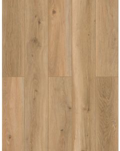 Shoreline Décor — LI-ID12 — The Indoor Delight Collection — Lions Floor