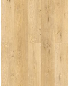 More Mesa — LI-TS104V2 — The Lone Star Collection — Lions Floor