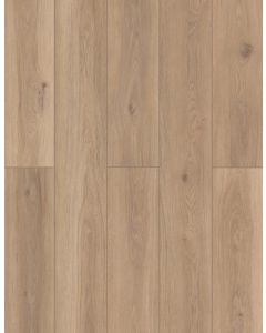 Artisan Touch — LI-TS201 — The Lone Star Spirit Xl Collection — Lions Floor