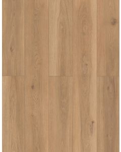Backyard Garnish — LI-TS202 — The Lone Star Spirit Xl Collection — Lions Floor