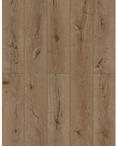Forgotten Bark — LI-TS205 — The Lone Star Spirit Xl Collection — Lions Floor