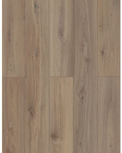 Shangri La — LI-TS206 — The Lone Star Spirit Xl Collection — Lions Floor