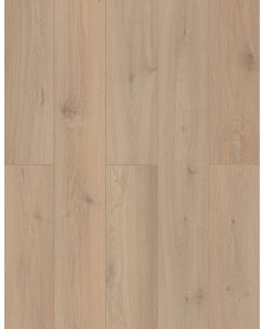 Sea Shell — LI-TS207 — The Lone Star Spirit Xl Collection — Lions Floor