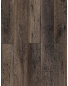 Ballroom Rodeo — LI-TS208 — The Lone Star Spirit Xl Collection — Lions Floor