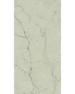 Robbins Urban Indulgence Zecevo 24" x 48" Porcelain Tile