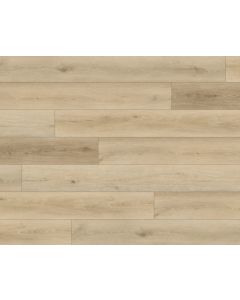 PARADIGM ACORN PPSPC2028 PERFORMER 20MM COLLECTION