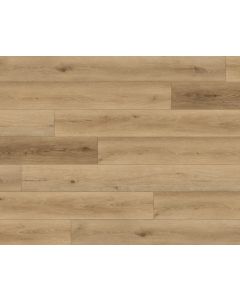 PARADIGM AGAVE PPSPC2024 PERFORMER 20MM COLLECTION
