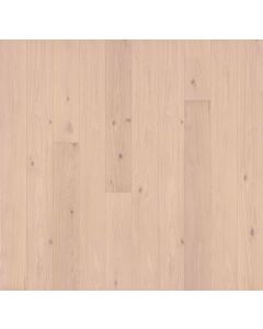 GARRISON, ARIA, GFALO7502, ALLORA COLLECTION
