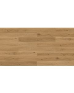 Megaclic Armano MCST-2307 — close-up plank, overhead view