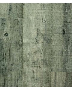 ASH MAPLE, SANGO COLLECTION, UP4882, QUICKSTEP