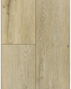 ASHBURY HEIGHTS, 558652, TOUGHLOCK PRIME COLLECTION