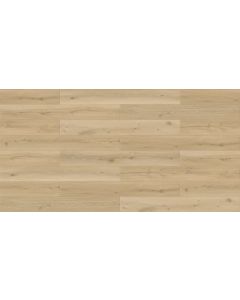 Megaclic Aurelia MCST-2310 — close-up plank, overhead view