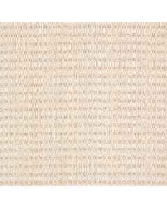 Anderson Tuftex Abbey's Road Aura Carpet - ZZ013-00212