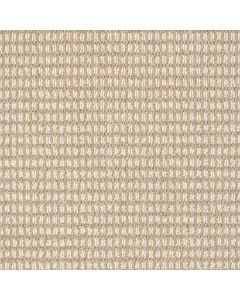 Anderson Tuftex Abbey's Road Timeless Carpet - ZZ013-00252