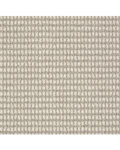 Anderson Tuftex Abbey's Road Moonlit Silver Carpet - ZZ013-00572