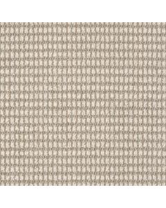 Anderson Tuftex Abbey's Road Chic Taupe Carpet - ZZ013-00752